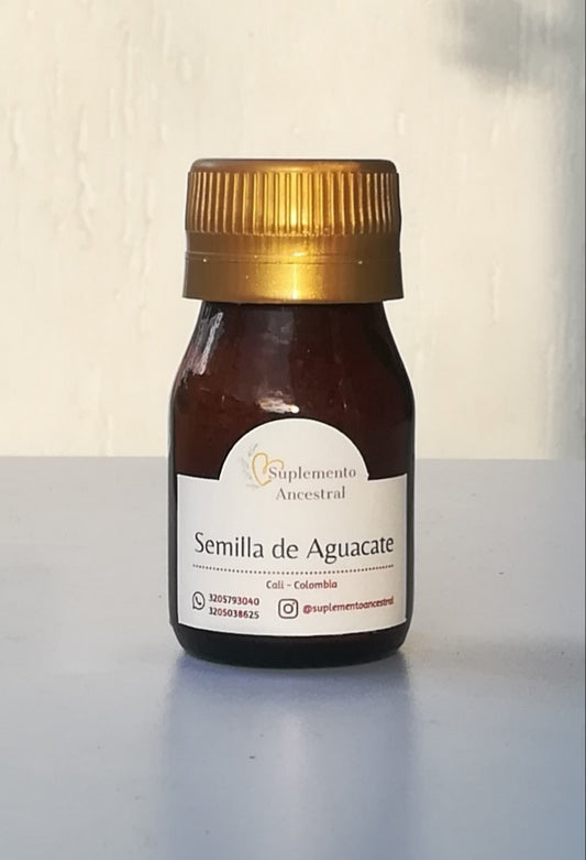 Semilla de Aguacate